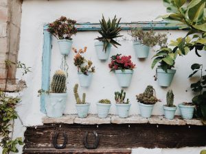 vertical garden