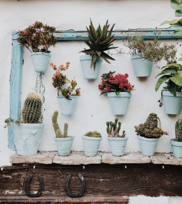 vertical garden