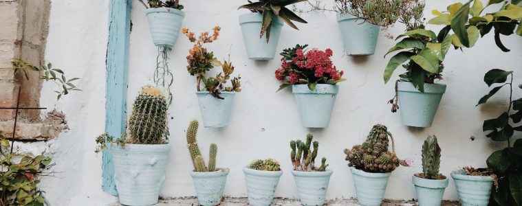 vertical garden