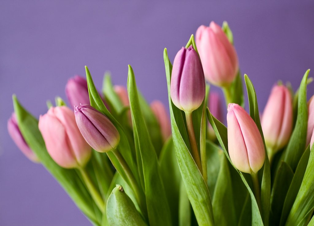 Spring bouquet 