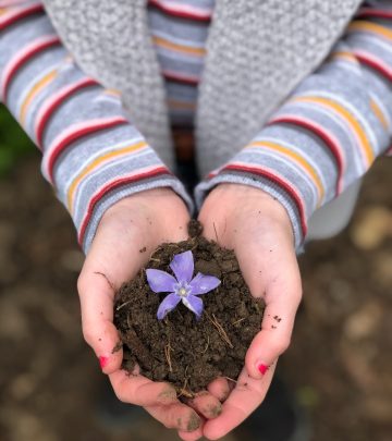 sandy soil