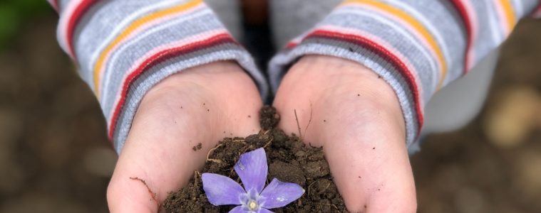 sandy soil