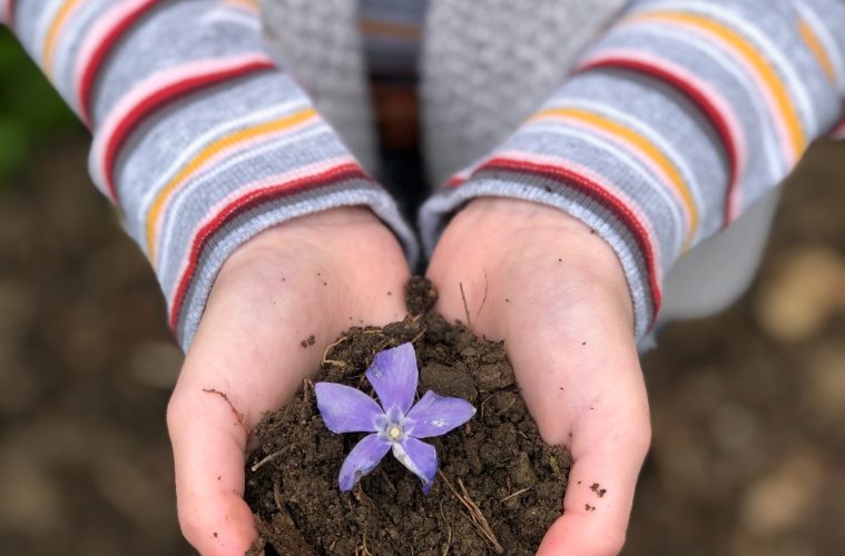 sandy soil