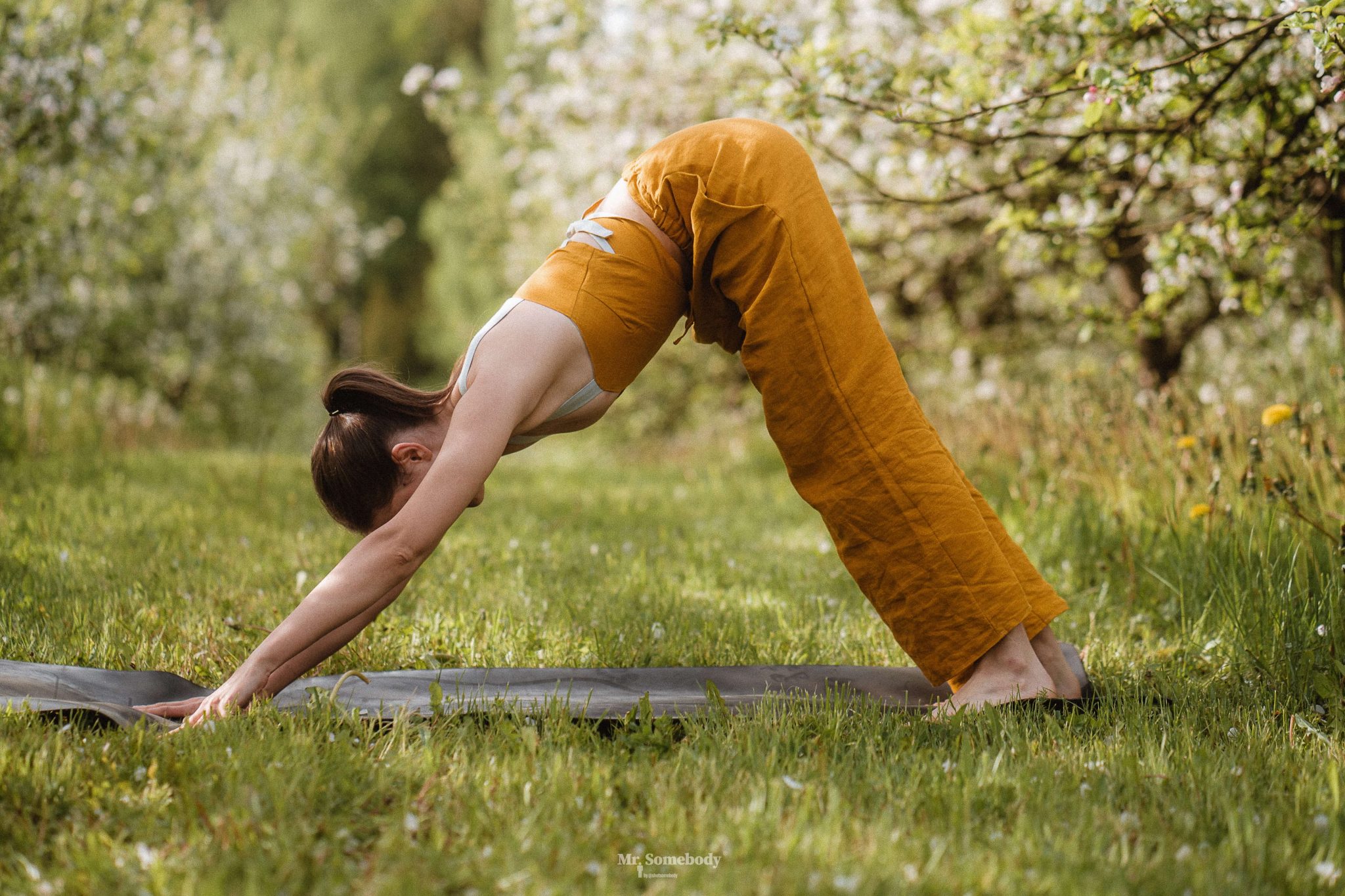 Garden Yoga and its benefits SA Garden and Home