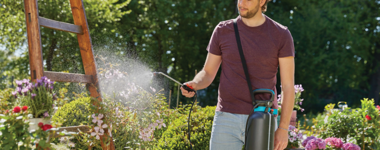 a man watering plants in his garden