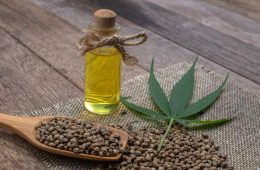 Hemp seeds, oil and plant