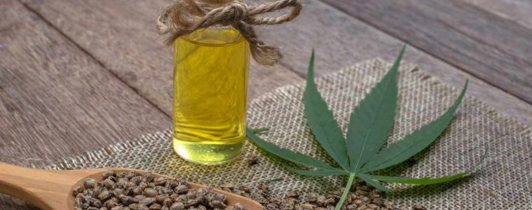 Hemp seeds, oil and plant