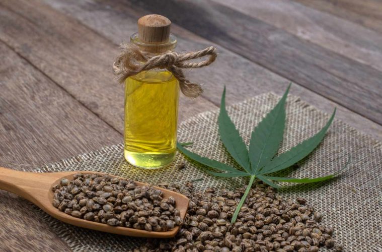 Hemp seeds, oil and plant