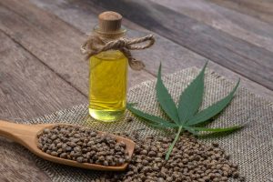 Hemp seeds, oil and plant