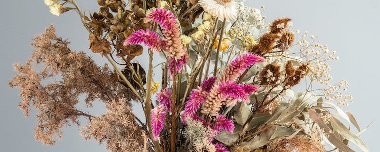 Repurposing dead flowers