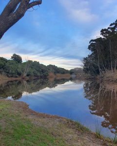 a river in Stanford Village