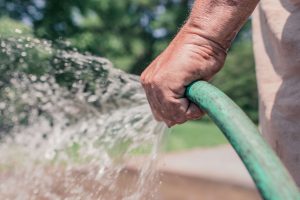 The best time of the day to water your garden (1)