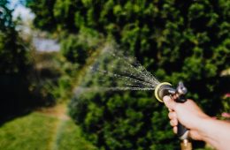 The best time of the day to water your garden 1