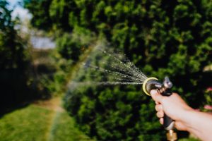The best time of the day to water your garden 1