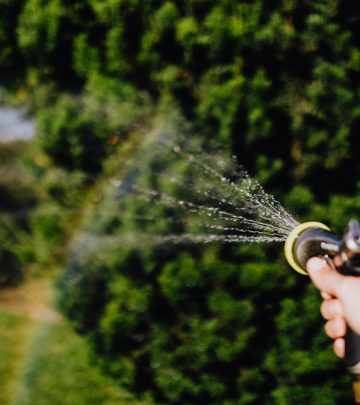 The best time of the day to water your garden 1