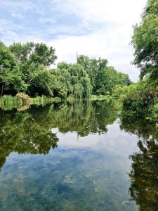 Toadbury Hall nature