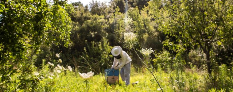 how to build a bee hotel