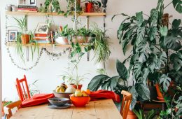 a home decorated with plants