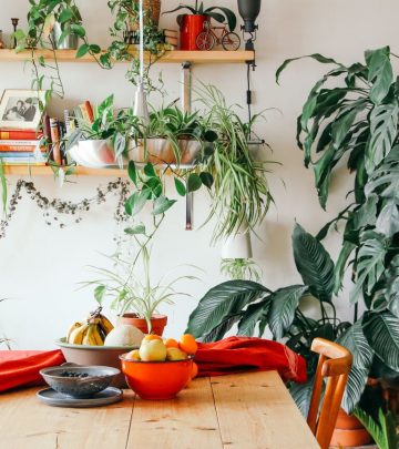 a home decorated with plants