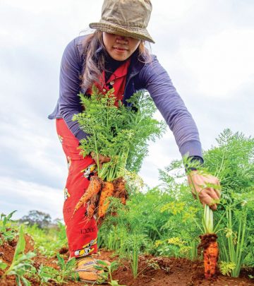 Cultivating sustainable communities through nutritious gardens