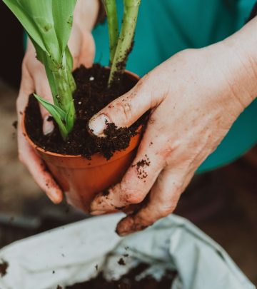 spring gardening for beginners (1)