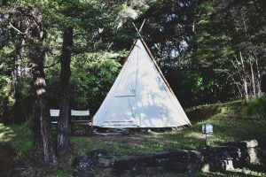 a teepee in the garden