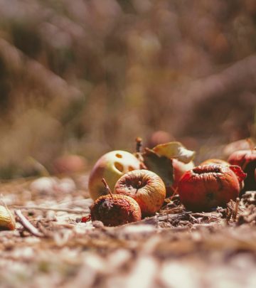 5 ways to use garden waste