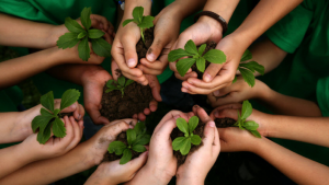 Arbor Week - Garden and Home