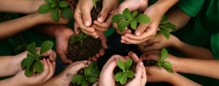 Arbor Week - Garden and Home