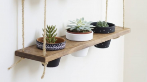 DIY plant hanger garden and home feature