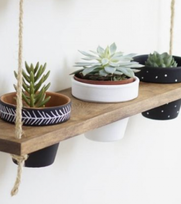 DIY plant hanger garden and home feature