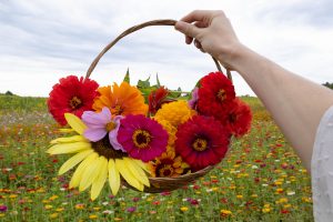 Edible Flower Spring time experience