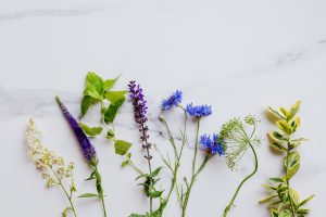 Edible flower springtime 1