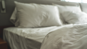How to get rid of bed bugs feature image