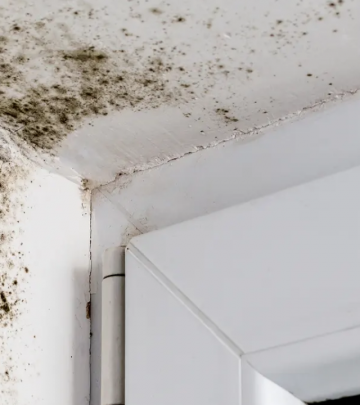 How to get rid of mould