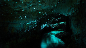 Caves