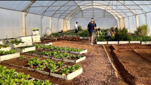 Garden and Home Community Reshare Project