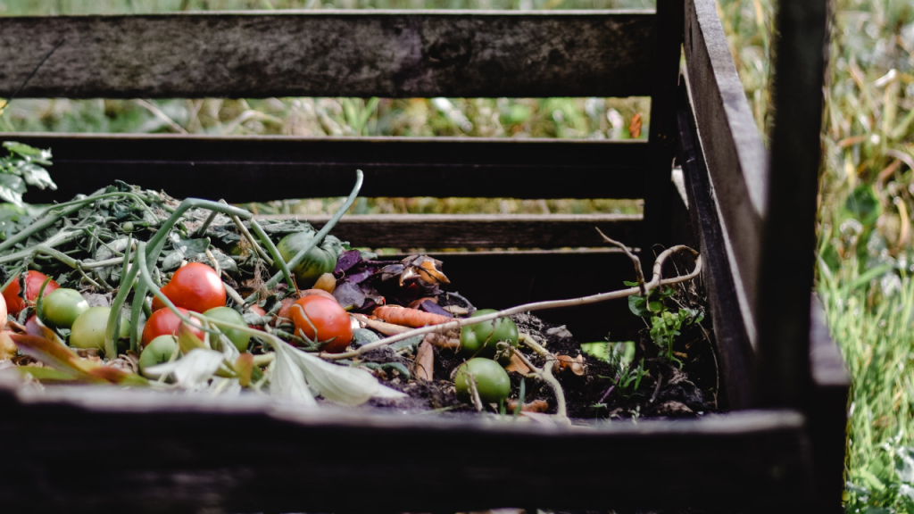 Celebrate Learn to Compost Day: The benefits of composting for your ...