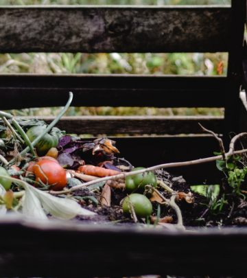 Growing in compost