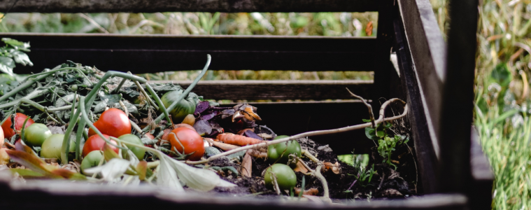 Growing in compost