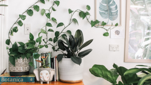 Wall-to-wall green garden and home