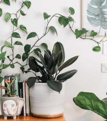 Wall-to-wall green garden and home