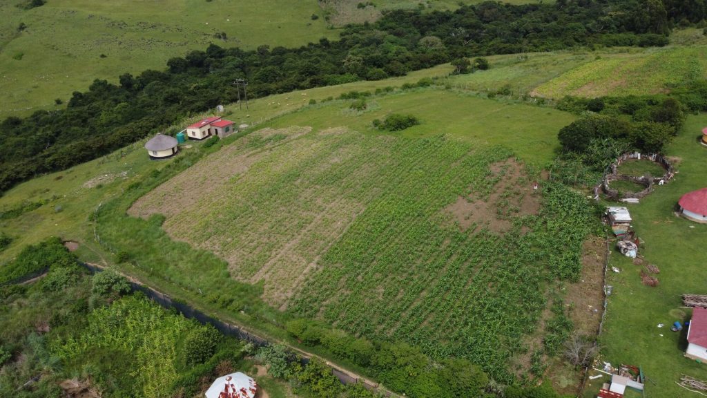 eastern cape farm aerial shot