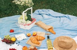 picnic feature image (1)