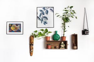 plants on the wall