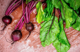 Beetroot matters (1)