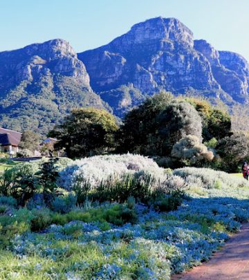 Kirstenbosch 2