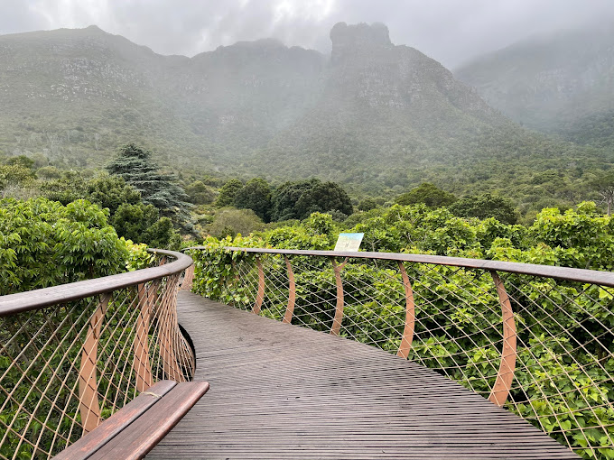 Kirstenbosch