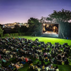 Open air cinema