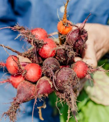 Spier-Food-Garden-Beets (1)